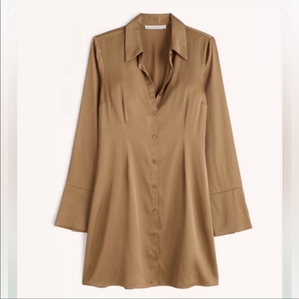 Abercrombie Gold Silk Shirt Dress